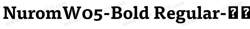 NuromW05-Bold Regular字体转换
